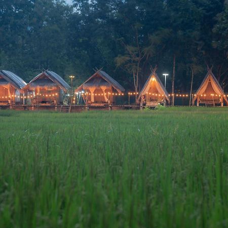 Paddy Fields Haven - Natures Nest Pai Εξωτερικό φωτογραφία