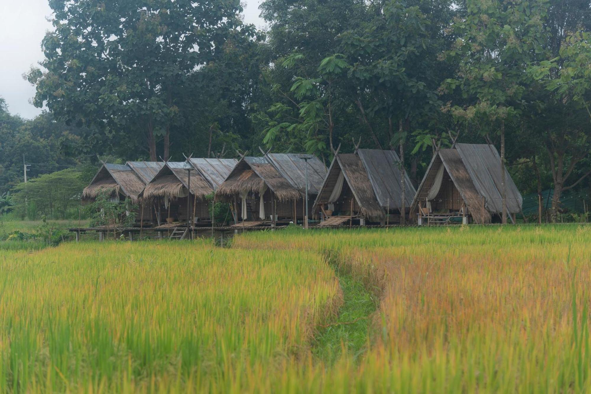 Paddy Fields Haven - Natures Nest Pai Εξωτερικό φωτογραφία