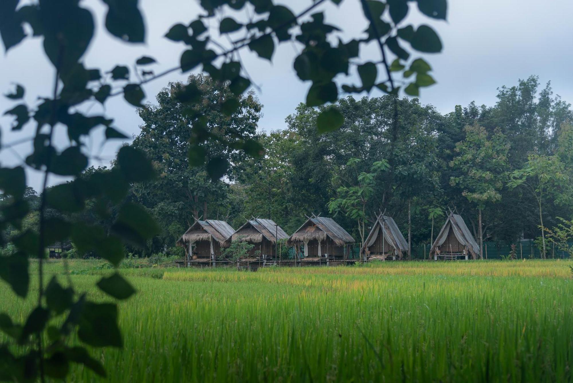 Paddy Fields Haven - Natures Nest Pai Εξωτερικό φωτογραφία
