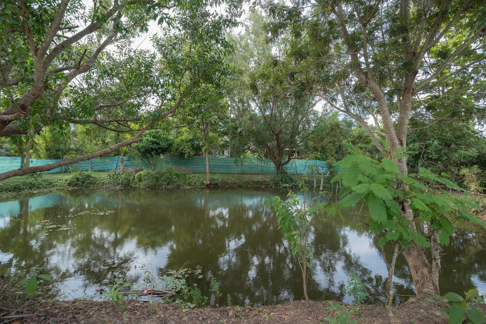 Paddy Fields Haven - Natures Nest Pai Εξωτερικό φωτογραφία