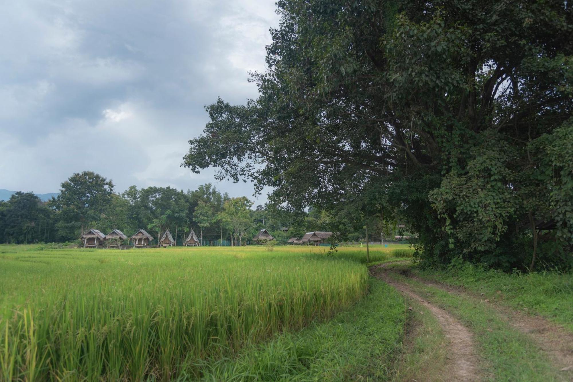 Paddy Fields Haven - Natures Nest Pai Εξωτερικό φωτογραφία