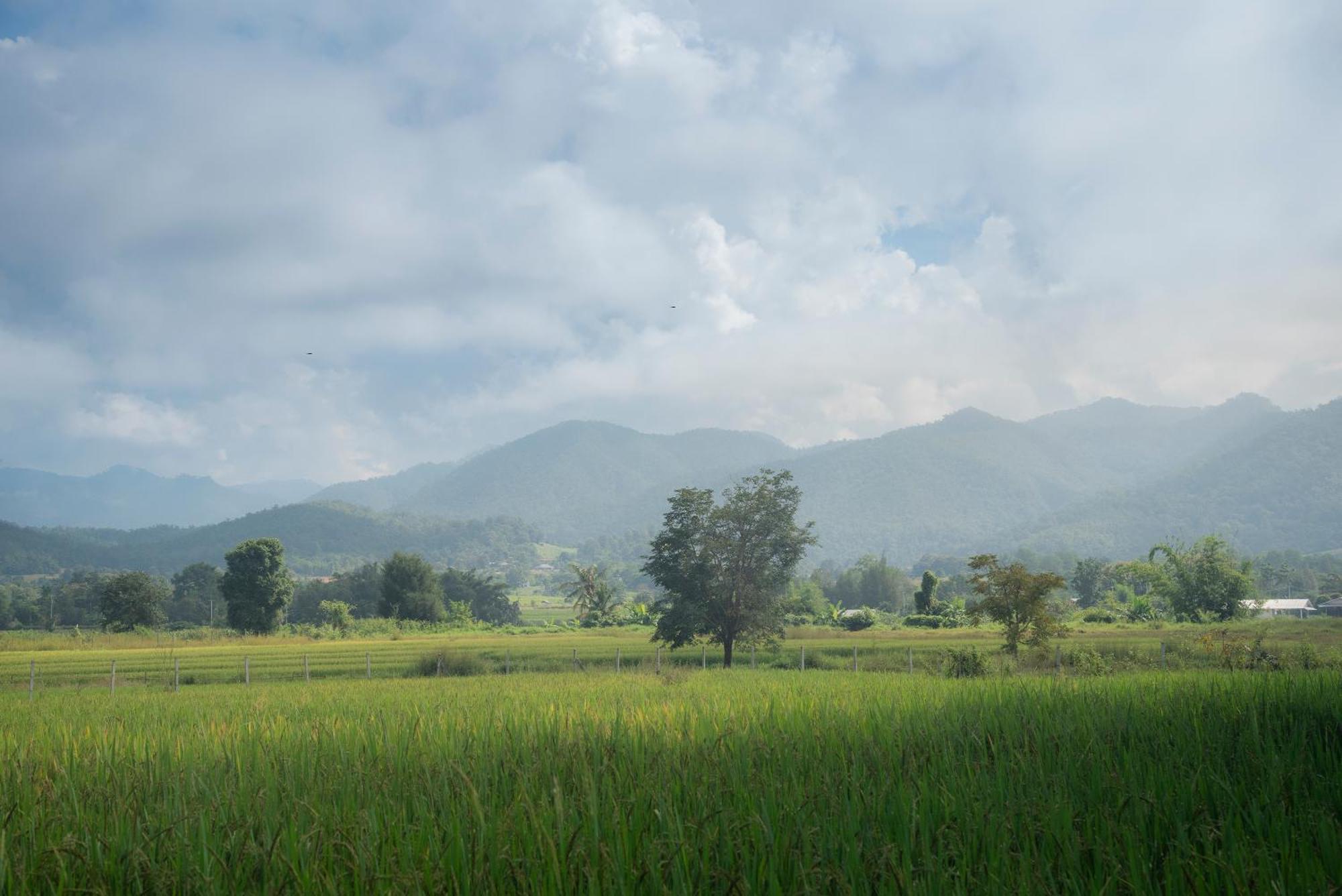 Paddy Fields Haven - Natures Nest Pai Εξωτερικό φωτογραφία