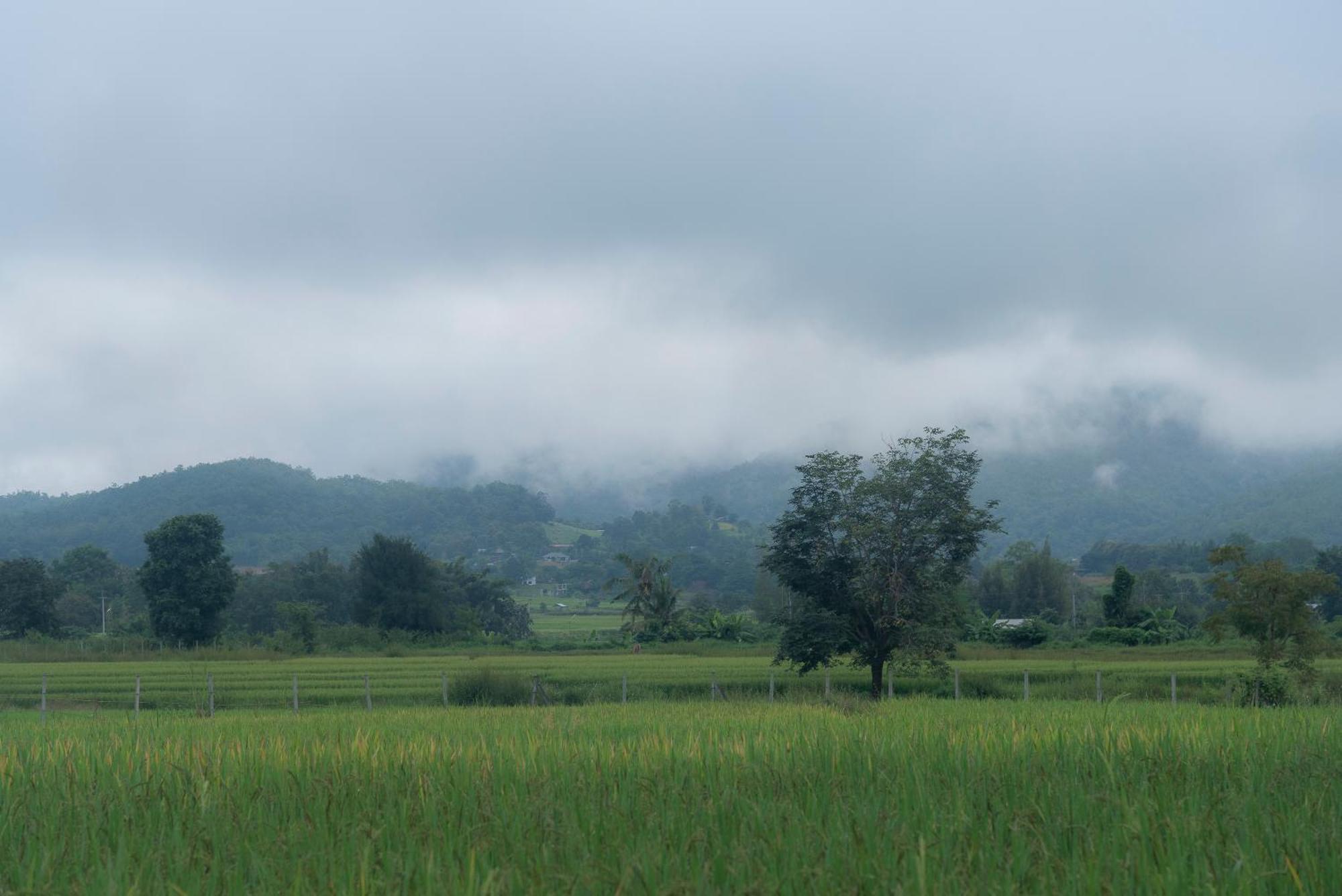 Paddy Fields Haven - Natures Nest Pai Εξωτερικό φωτογραφία