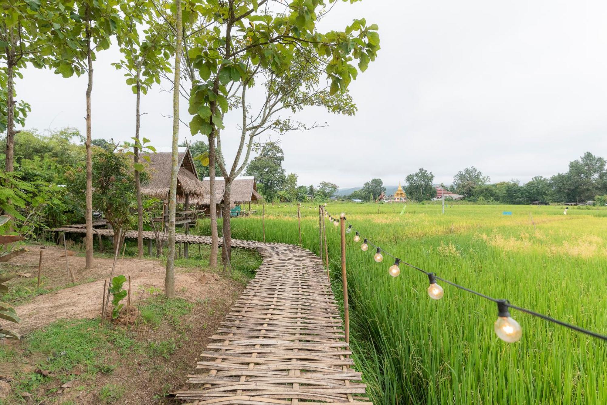 Paddy Fields Haven - Natures Nest Pai Εξωτερικό φωτογραφία