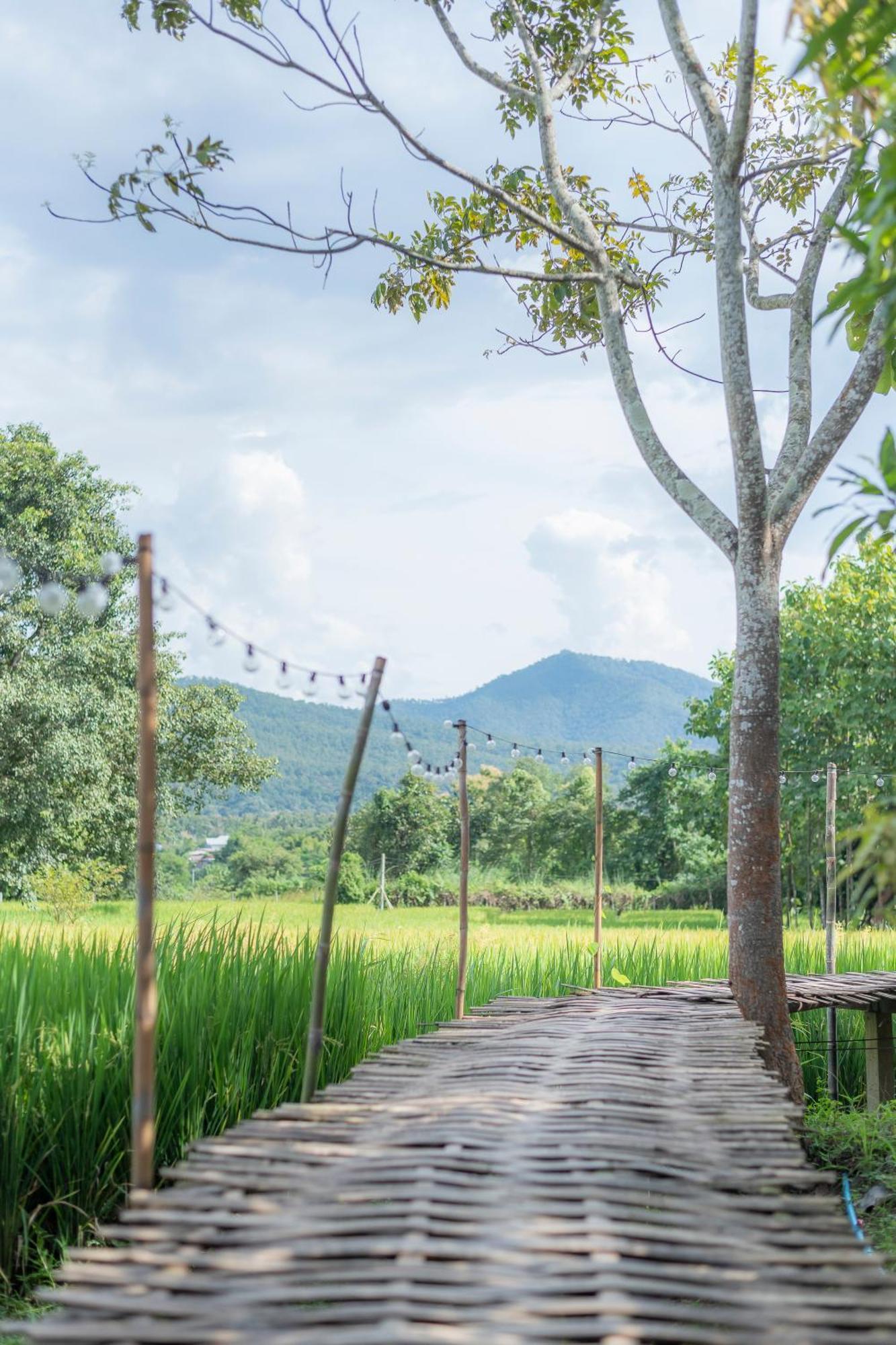 Paddy Fields Haven - Natures Nest Pai Εξωτερικό φωτογραφία