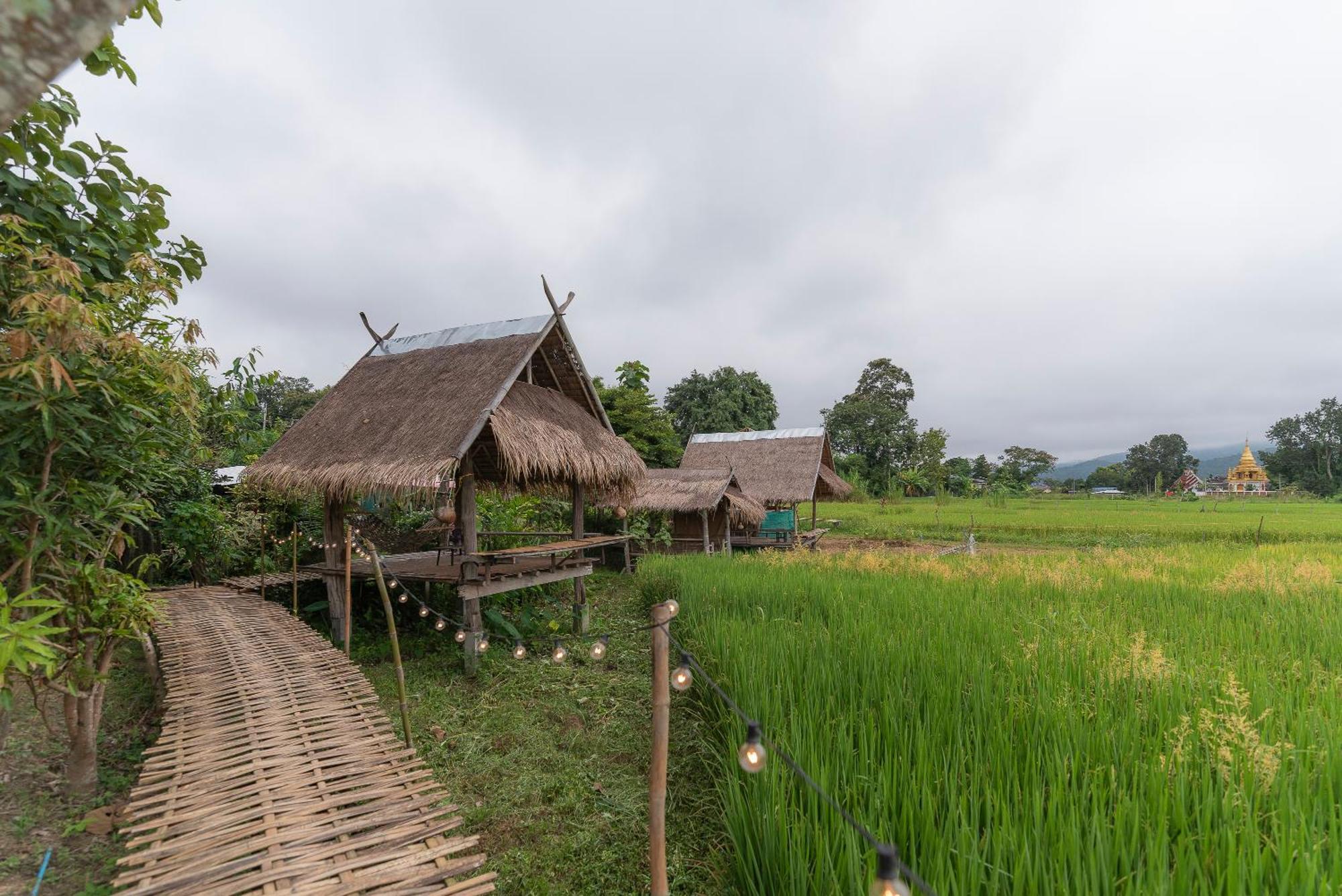 Paddy Fields Haven - Natures Nest Pai Εξωτερικό φωτογραφία