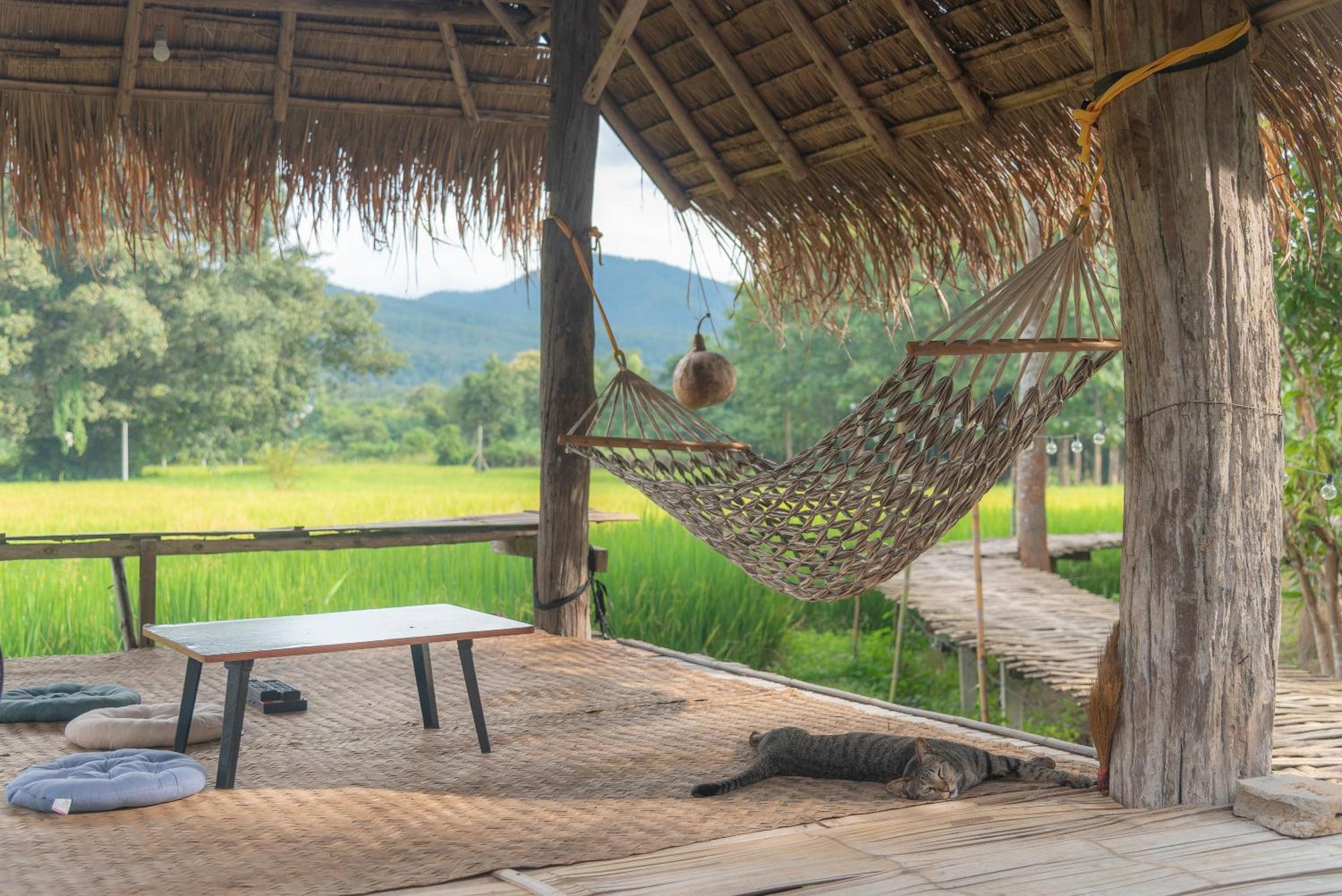 Paddy Fields Haven - Natures Nest Pai Εξωτερικό φωτογραφία