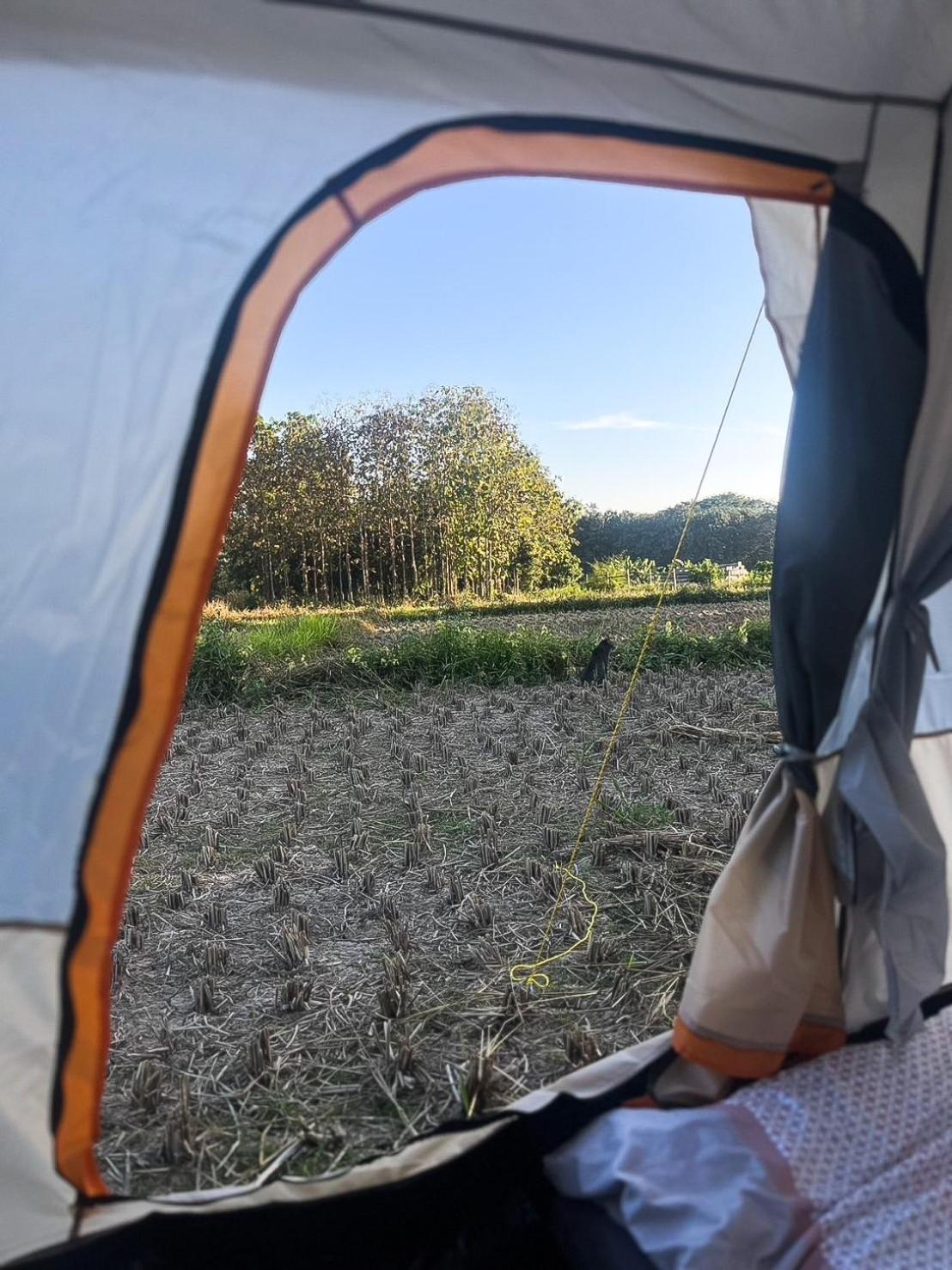 Paddy Fields Haven - Natures Nest Pai Εξωτερικό φωτογραφία